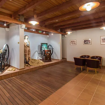 Savin Appartement *